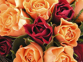 Image showing Bed of roses