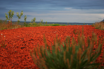 Image showing red gravel road