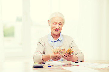 Image showing senior woman with money and papers at home