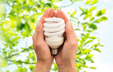 Image showing close up of hands holding energy saving lightbulb