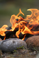 Image showing dancing flames