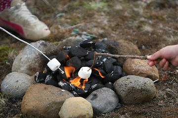 Image showing marshmallow heatwave