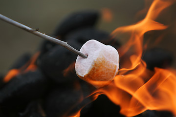 Image showing fire roasted marshmallow