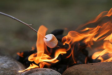 Image showing marshmallow feast