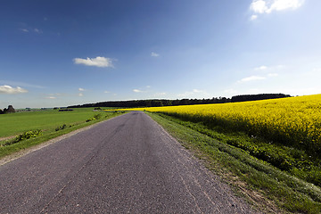 Image showing Summer road, field