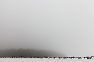 Image showing wooden fence in a field