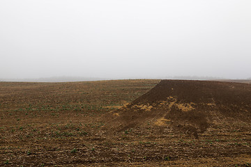 Image showing plowed for sowing the land