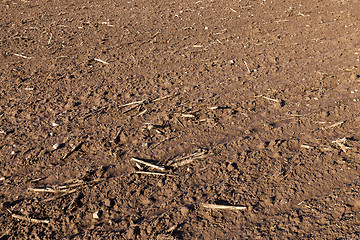 Image showing plowed for sowing the land