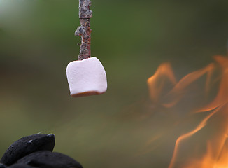 Image showing marshmallow roasting