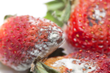 Image showing Strawberry with mold