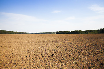 Image showing plowed for crop land