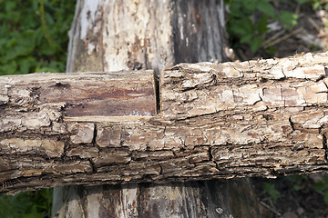 Image showing cut on a log