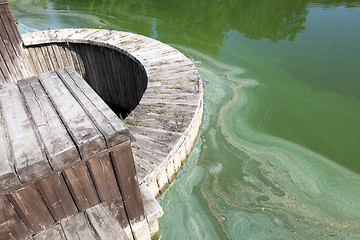 Image showing Water in the swamp