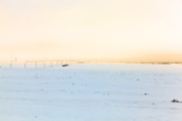 Image showing agriculture field in winter