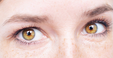 Image showing beautiful woman eyes