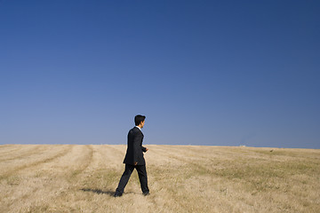 Image showing businessman pure walking