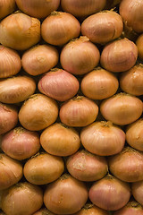 Image showing A Pile of Onions