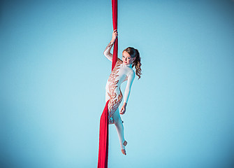 Image showing Graceful gymnast performing aerial exercise