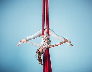 Image showing Graceful gymnast performing aerial exercise