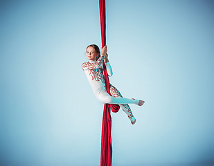 Image showing Graceful gymnast performing aerial exercise