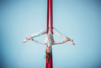 Image showing Graceful gymnast performing aerial exercise