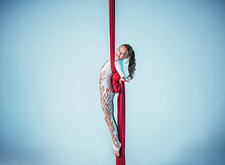 Image showing Graceful gymnast performing aerial exercise