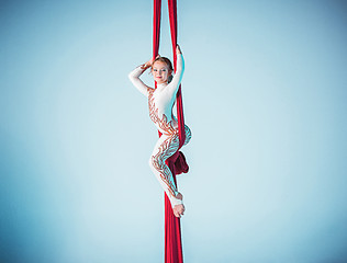 Image showing Graceful gymnast performing aerial exercise