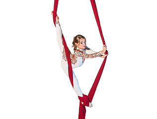 Image showing Graceful gymnast performing aerial exercise