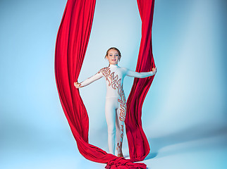 Image showing Graceful gymnast performing aerial exercise