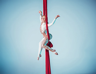 Image showing Graceful gymnast performing aerial exercise