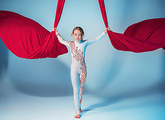 Image showing Graceful gymnast performing aerial exercise