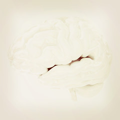 Image showing Human brain. 3D illustration. Vintage style.