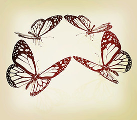 Image showing beauty butterflies. 3D illustration. Vintage style.