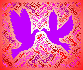 Image showing Love Doves Represents Lover Fondness And Compassionate