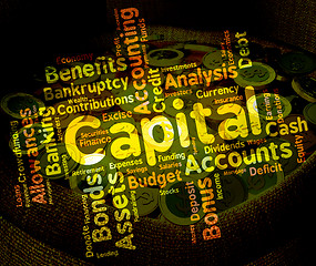 Image showing Capital Word Shows Rich Asset And Affluence