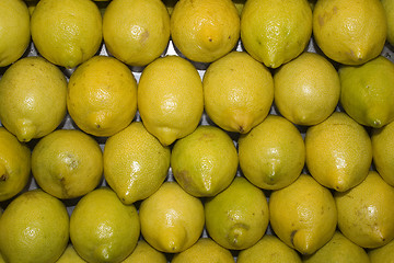 Image showing lemons pattern
