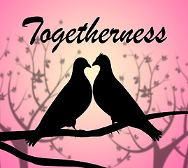 Image showing Togetherness Doves Represents Love Birds And Affection