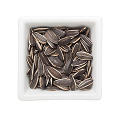 Image showing Sunflower seed