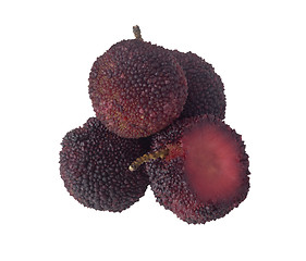 Image showing Chinese Bayberry