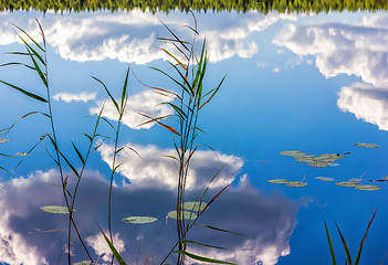 Image showing Magic Reflection Of Clouds And Reeds In Lake