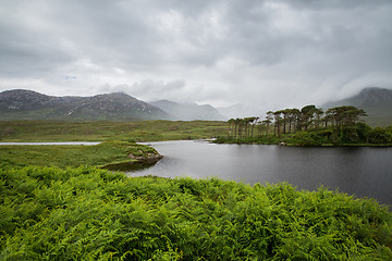 Image showing view to island in lake or river at ireland