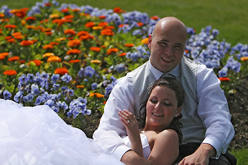 Image showing bed of flowers