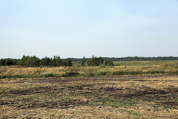 Image showing moorland, summer time