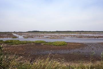 Image showing moorland, summer time