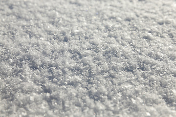 Image showing snow on the ground