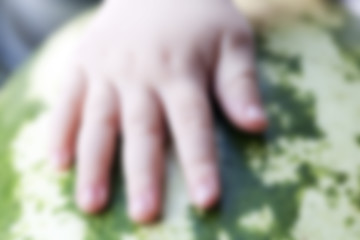 Image showing hand on watermelon