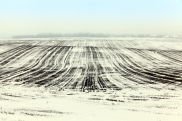 Image showing agriculture field in winter