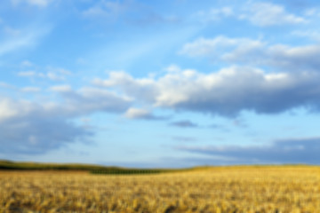 Image showing harvesting corn , defocus