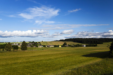 Image showing immature green grass