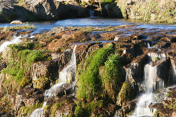 Image showing moss and water